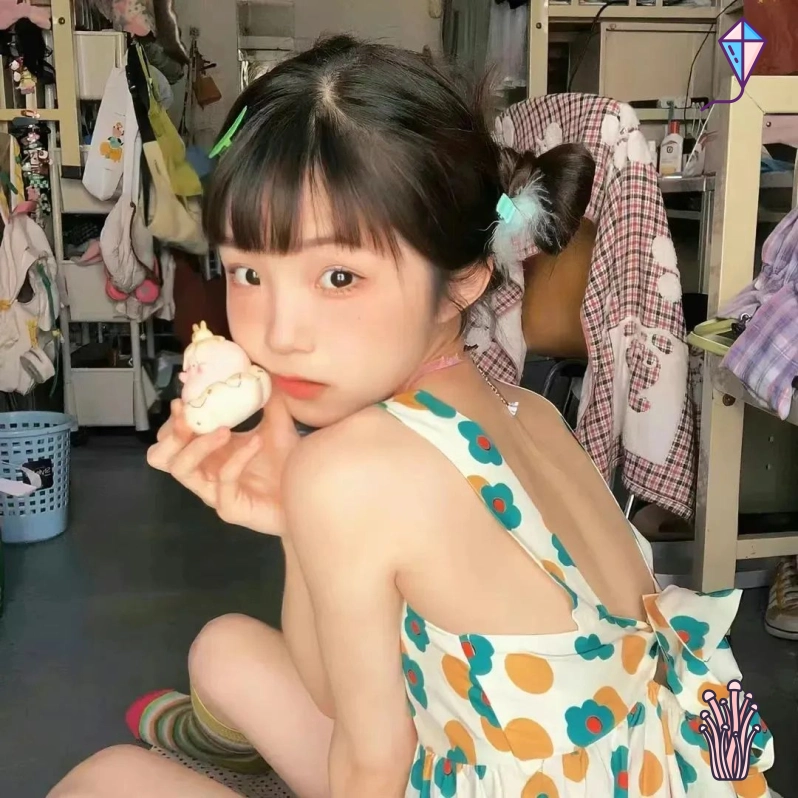 北城旧梦